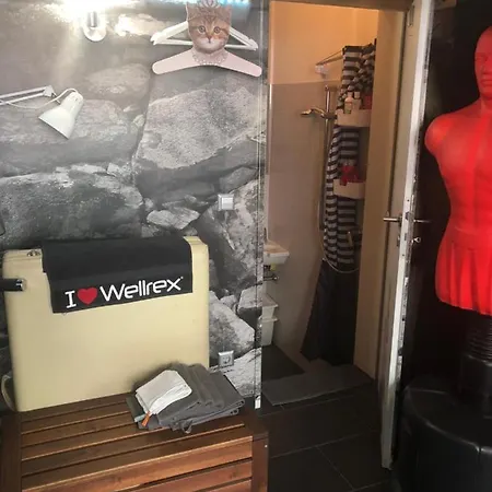 Wellrex Frankfurt Zentrum